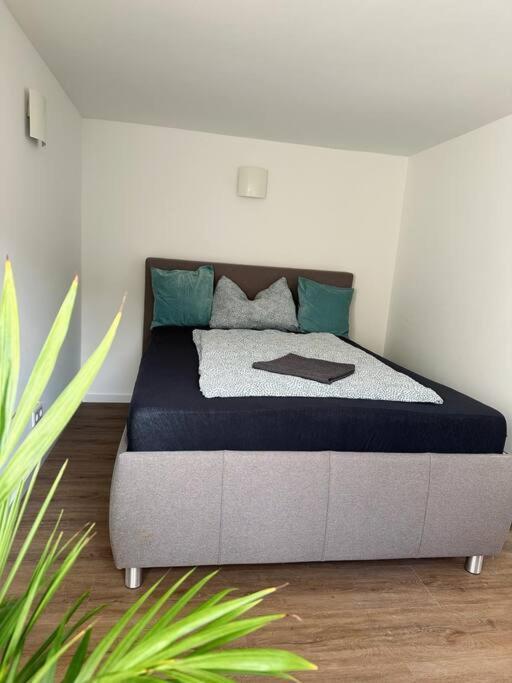 Business Apartment Naehe Bonn Königswinter Extérieur photo