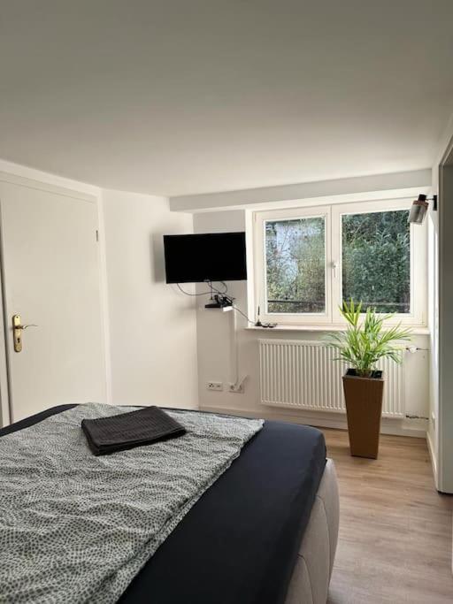 Business Apartment Naehe Bonn Königswinter Extérieur photo